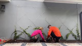 HOW TO BUILD A LIVING PLANT WALL 💎