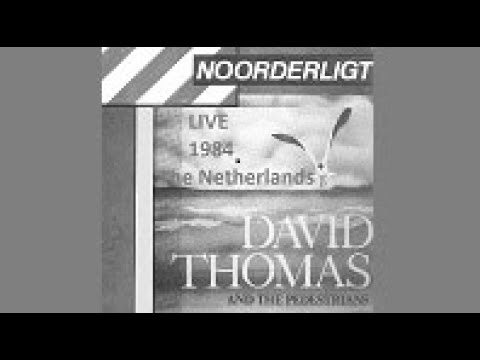 David Thomas & the Pedestrians Live (audio) @ Noorderligt Tilburg Netherlands 1984