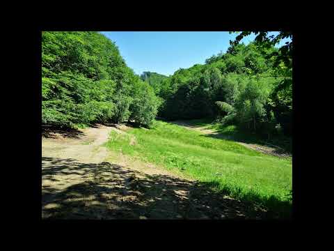 Metronom - Pe sub deal pe sub padure