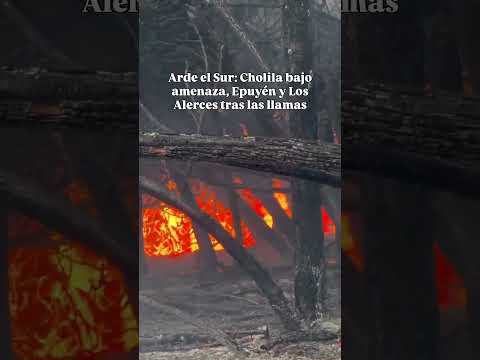 🔥 ARDE EL SUR🔥Cholila está rodeada por el fuego  Epuyén y el Parque Nacional Los Alerces sigue