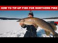 How To Tip Up Fish For Northern Pike Complete Rigging