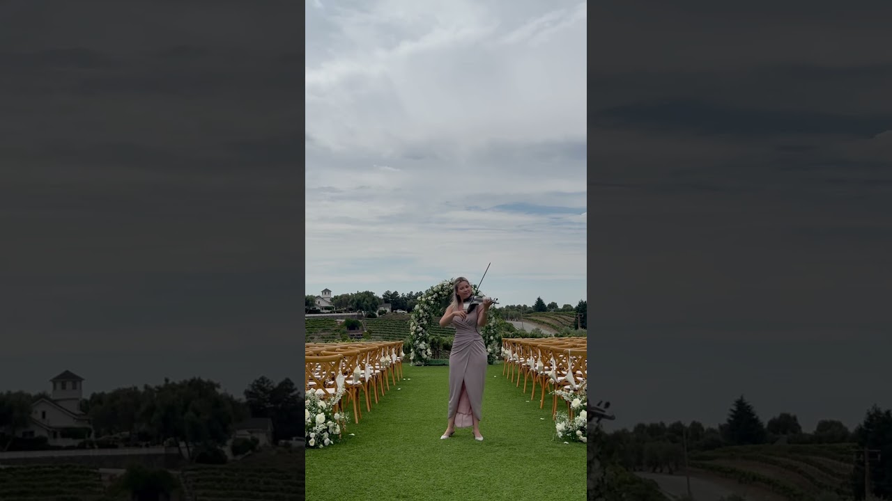 Promotional video thumbnail 4 for Electric violinist