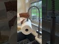 How to fancy up your kitchen with paper towels😱