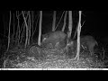 Icu cam5 wildlife camera 4g lte + 16gb + esim