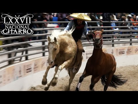 DEATH PASS day 20 semifinal - Aguascalientes Congress 2021