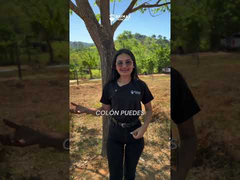 📍 Lotificación, La Nueva Jerusalén, San Antonio, Santa fe, Colón.