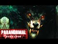 PARANORMAL SURVIVOR Trailer Park Terror Skinwalker Or Dogman ᴸᴺᴬᵗᵛ
