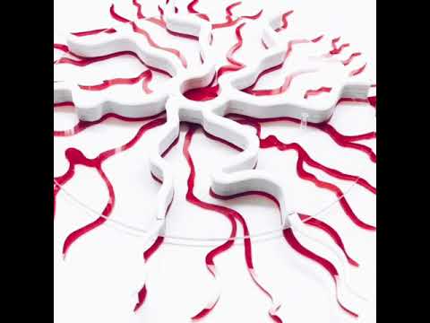 Moon Bones( Ossi di luna)  giornata del contemporaneo 2020