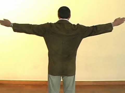 Referee signals and commands of fencing