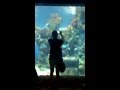 Malta aquarium Bugibba #summer 2013 