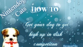 🐾How To: Nintendogs + cats; Get Your Dog High Up In Disk