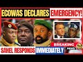 ECOWAS ON HIGH ALERT NIGER JUST ESCALATED THE STANDOFF