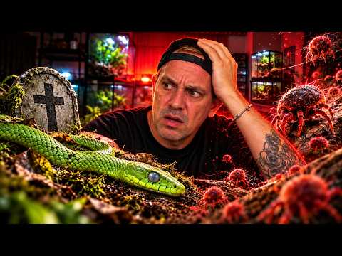 J’AI DES GROSSES GALÈRES AVEC MES SERPENTS (mauvaise nouvelle…) - TOOPET