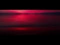 Spector | Enjoy It While It Lasts (Album Trailer ...