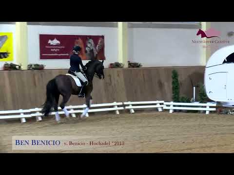 Ben Benicio v. Benicio - Hochadel - Fidermark