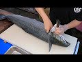 How To Fillet a Whole Salmon - How To Make Sashimi Series