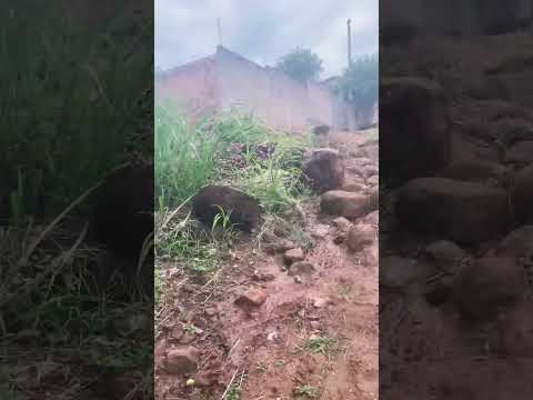 Rio Mororó #Jaru #Rondônia