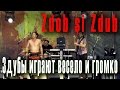 Zdob si Zdub - Здубы играют весело и громко (Купала Party) 