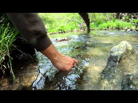 GoPro HD Hero underwater! Rob catches a native Brookie in Thompson Run