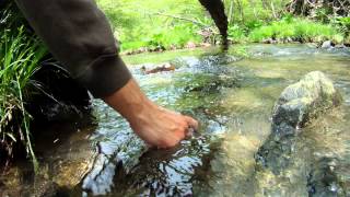 GoPro HD Hero underwater! Rob catches a native Brookie in Thompson Run