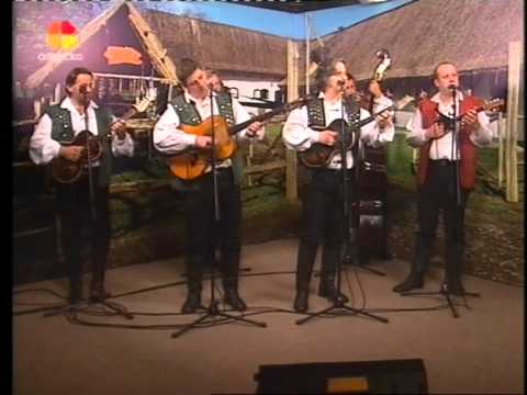 Najbolji hrvatski tamburaši - Da me nije