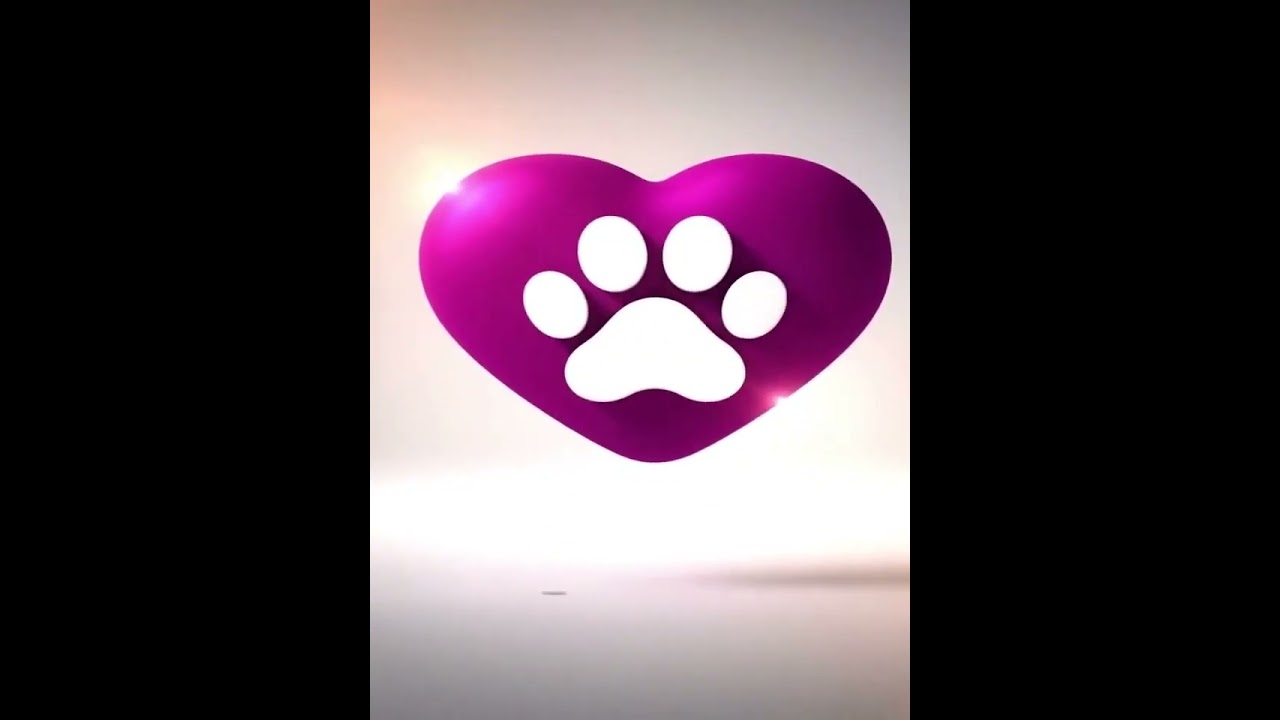 Gato raça SRD-ViraLata idade 2 a 6 meses nome Chico