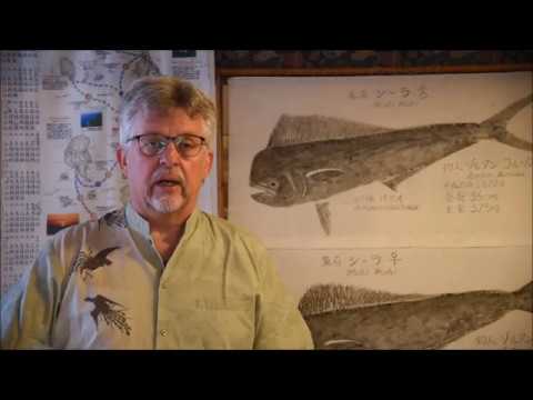 Okinawa Mi Amor - Rendhagyó kiállításmegnyitó - Pásztói Múzeum