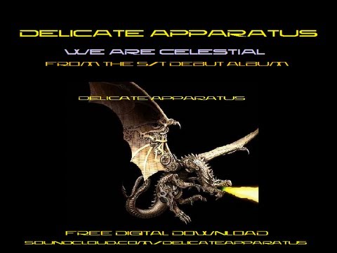 We Are Celestial by Delicate Apparatus