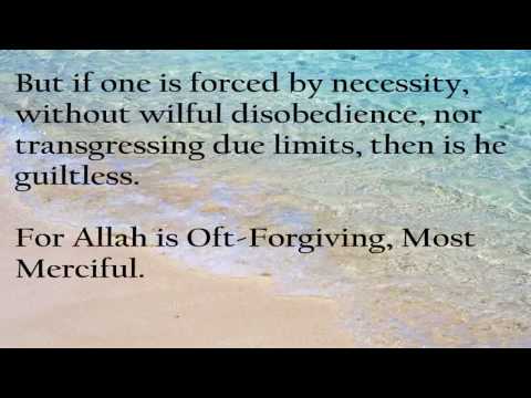 al quran chapter 2 verses 170 to 176