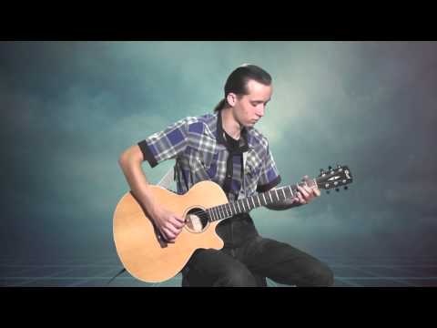 Paul Mauriat - Alouette (La Peregrinacion - comp.A.Ramirez) (В Мире Животных ) - Cover by Theo