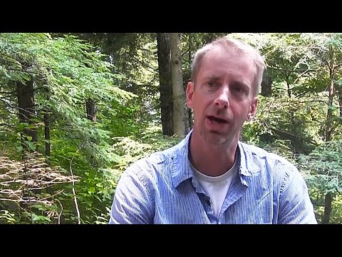 image-What is forest ecology?