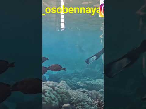 Загрязнение водных ресурсов планеты наглядно! Очень поучительно для детей и взрослых. #ocean #океан