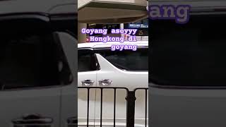 Download lagu #di goyang asoyyy#mimin #funny mp3 Download lagu #di goyang asoyyy#mimin #funny mp3