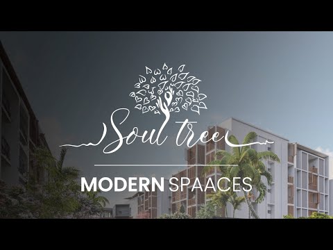 3D Tour Of Modern Soul Tree Bliss