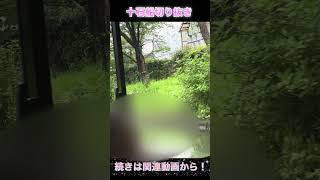 #京都 #十石船  十石船本編切り抜き
