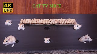 Cat TV Mice 🐭 Popping Fun & Play for cats to watch | Best Mouse Playground in 4K