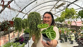 All the Coolest New Plants at Rosales