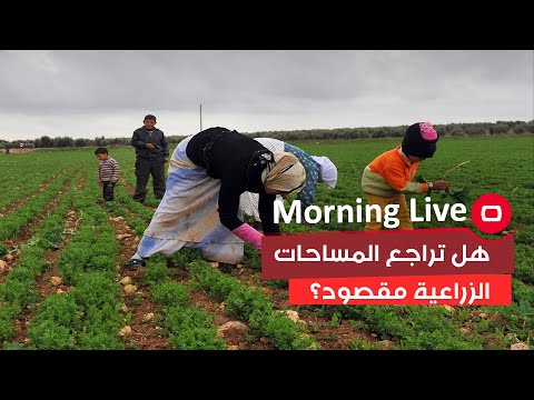 شاهد بالفيديو.. تراجع المساحات الزراعية بسبب ازمة المياه