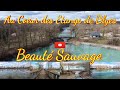 au cœur des Étangs de blyes une féerique beauté offerte par dame nature.