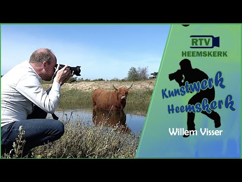 Kunstwerk Heemskerk: Willem Visser