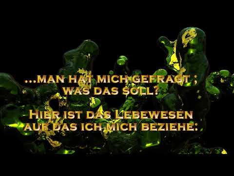 Procedural Growth Schimpansenfeuer