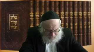 הלכות שבת דיני מוקצה