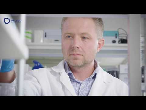 CETSA® - What, Why and When