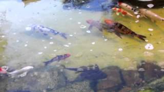 Diário de Imagens 12.02.2012