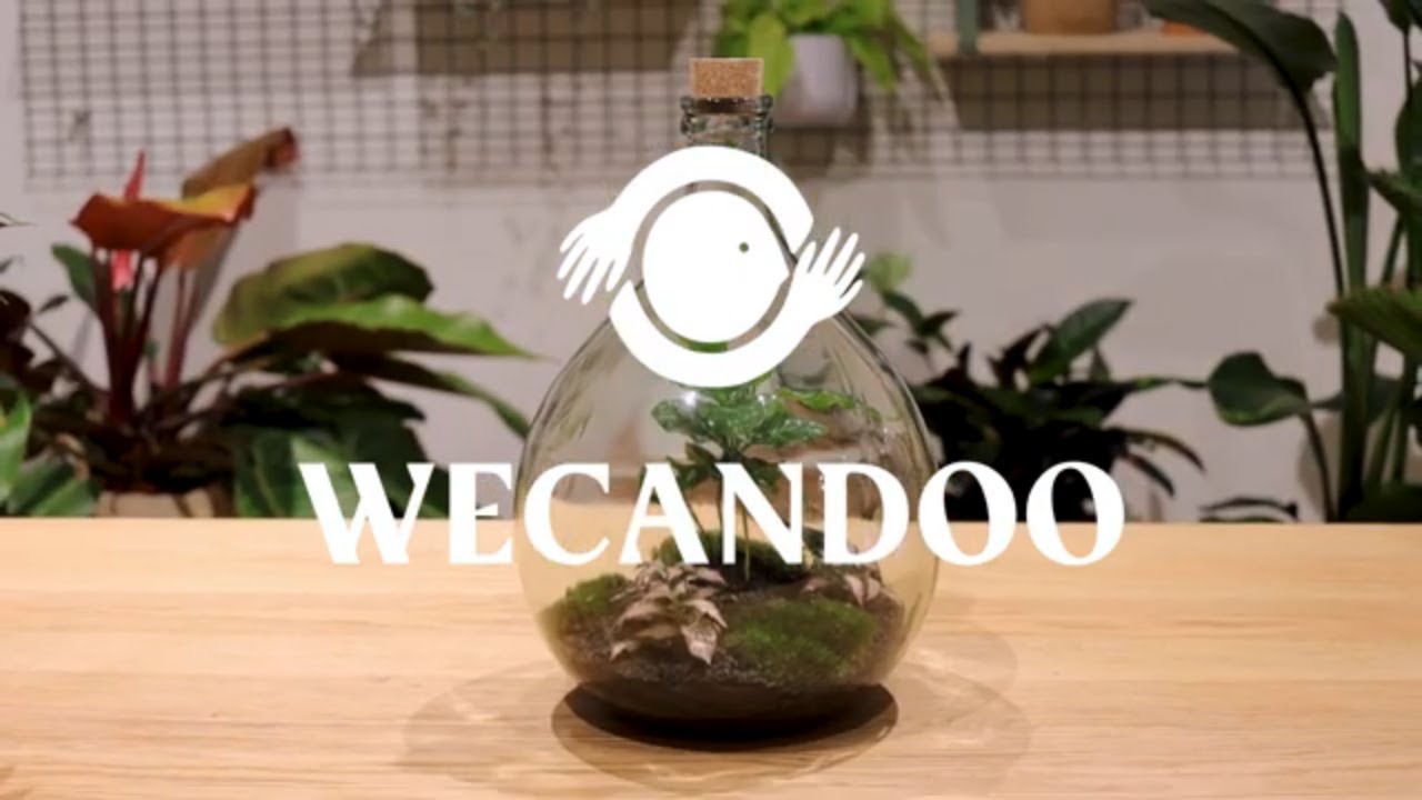 Apprenez à prendre soin des plantes avec Audrey - Vidéo