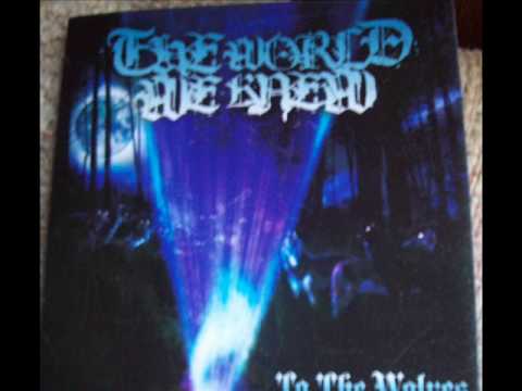 The World We Knew - The Write Off