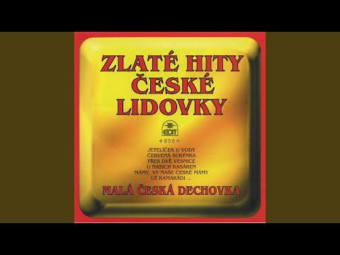 Zimní růže (Za Košířema...)