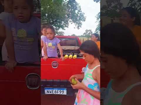 Época do pequi no Tocantins 🥳