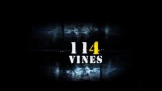 Ethiopian Vines: 114 ViNES : First Vine, Dormlife