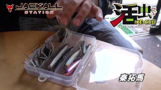 秦拓馬の活虫セッティング